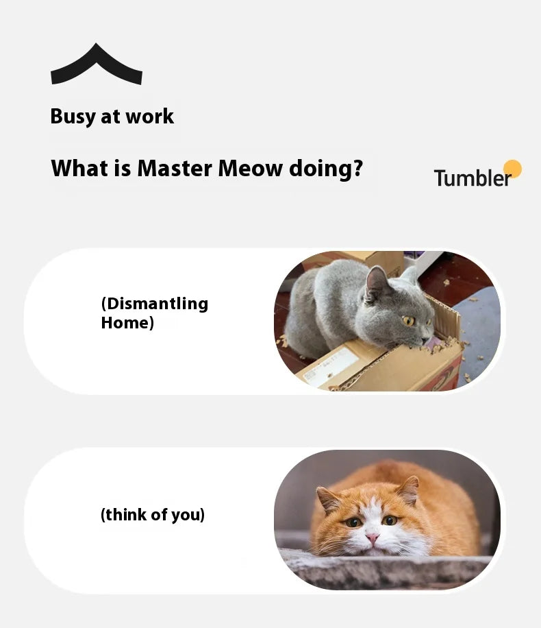 Automatic Rolling Cat Ball Toy – Smart Sensor Rechargeable