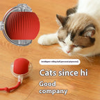 Automatic Rolling Cat Ball Toy – Smart Sensor Rechargeable