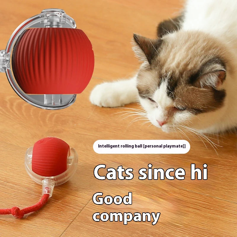 Automatic Rolling Cat Ball Toy – Smart Sensor Rechargeable