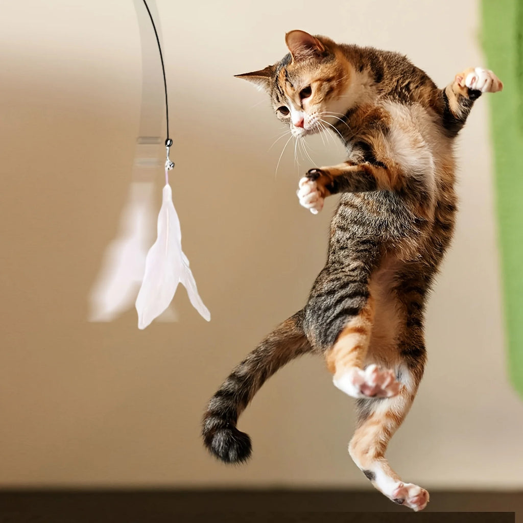 Interactive Cat Teaser Wand – Bell & Feather Toy with Suction Cup Pole