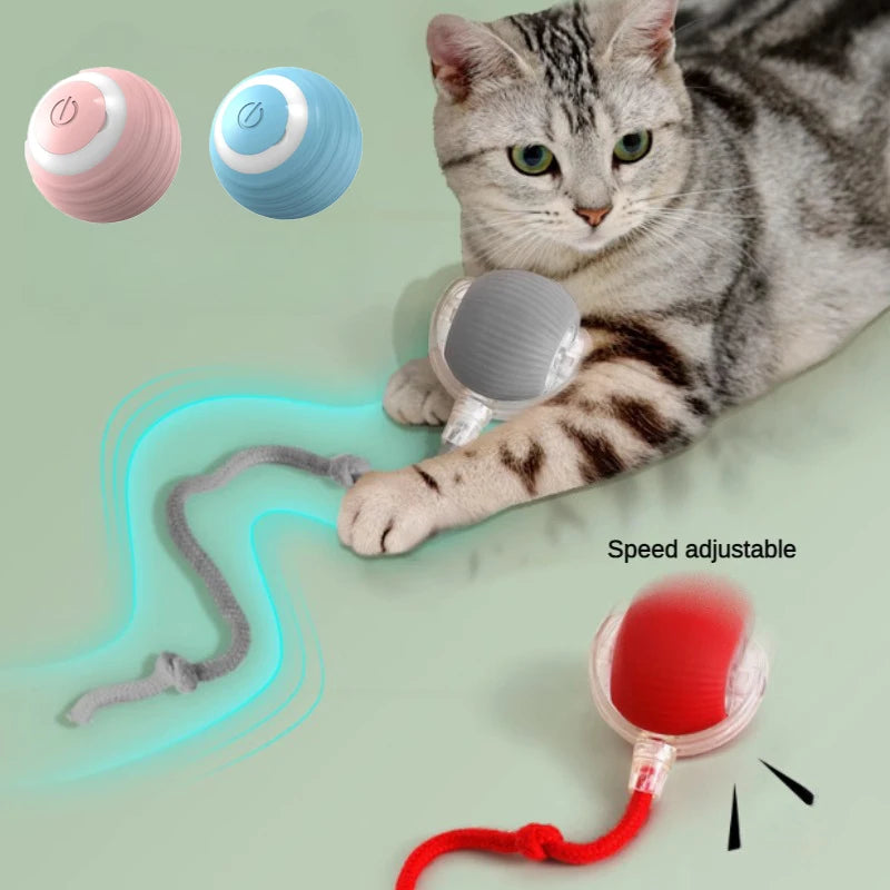 Automatic Rolling Cat Ball Toy – Smart Sensor Rechargeable